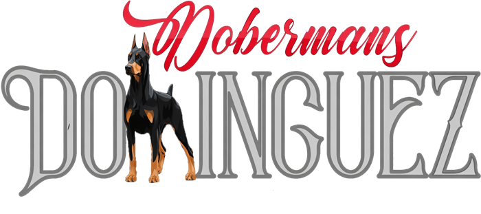 Cargando Dobermans Domínguez